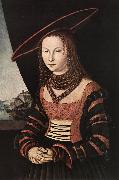CRANACH, Lucas the Elder Portrait of a Woman dfg oil painting artist